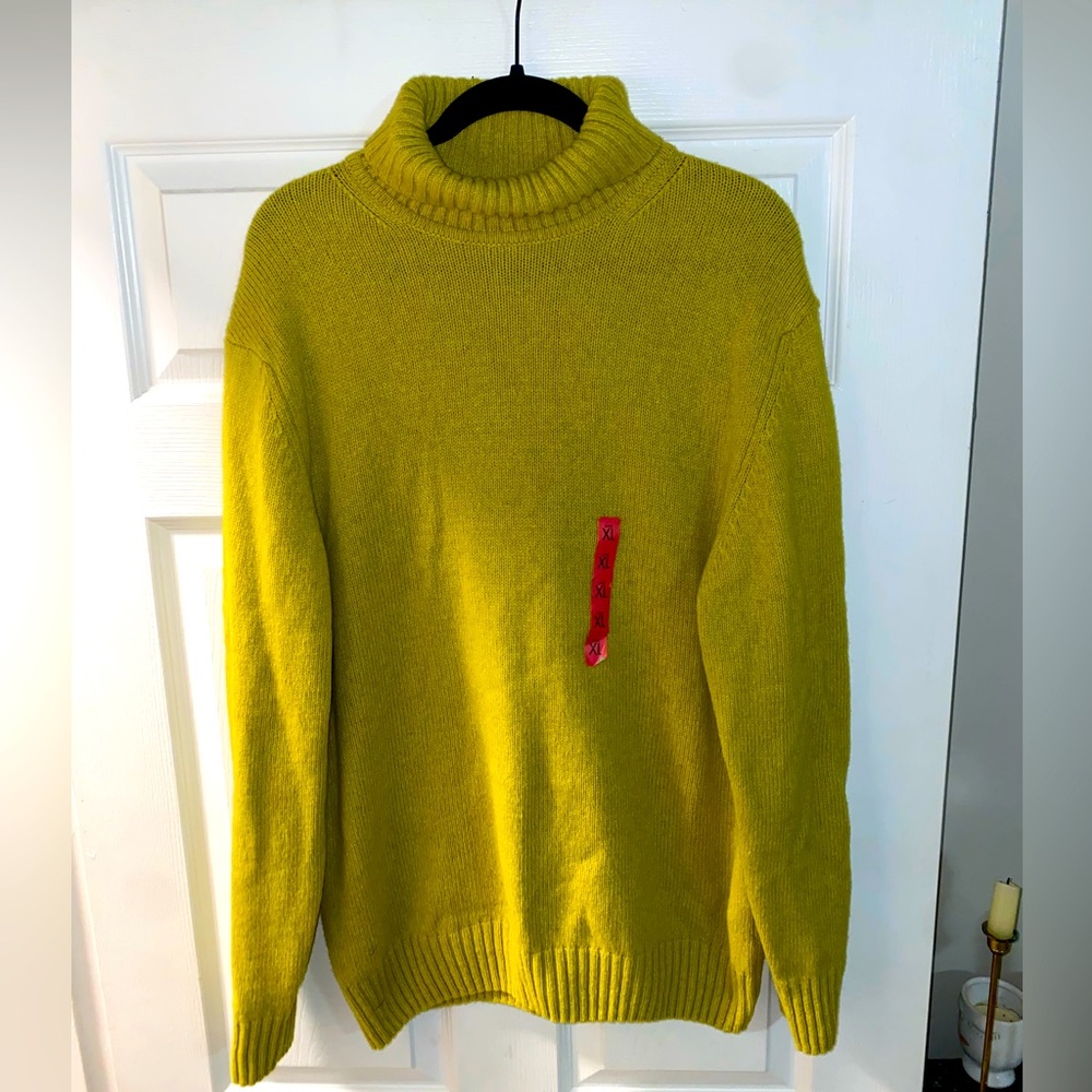 Zara Collection Turtleneck